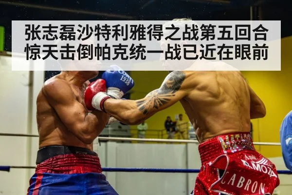 张志磊沙特利雅得之战第五回合惊天击倒帕克统一战已近在眼前