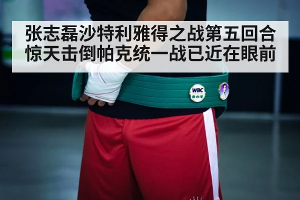 boxing champion belt